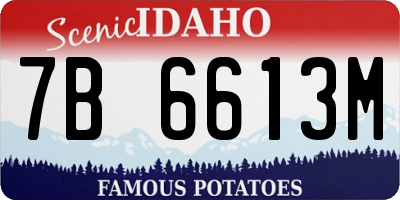 ID license plate 7B6613M
