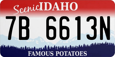 ID license plate 7B6613N