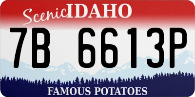 ID license plate 7B6613P