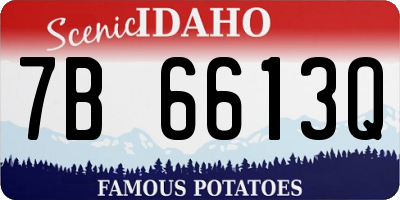 ID license plate 7B6613Q