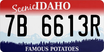 ID license plate 7B6613R