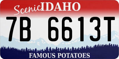 ID license plate 7B6613T