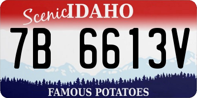 ID license plate 7B6613V
