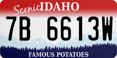 ID license plate 7B6613W