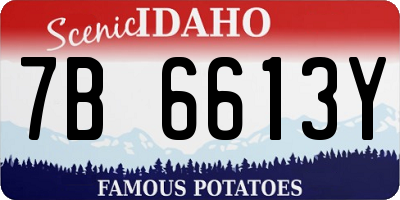 ID license plate 7B6613Y