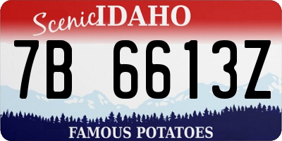 ID license plate 7B6613Z