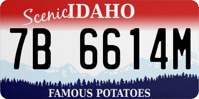 ID license plate 7B6614M