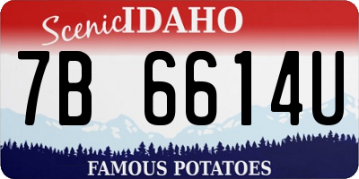 ID license plate 7B6614U