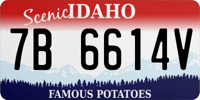 ID license plate 7B6614V