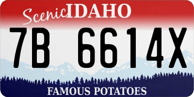 ID license plate 7B6614X