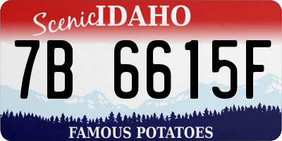 ID license plate 7B6615F