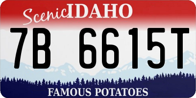 ID license plate 7B6615T