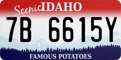 ID license plate 7B6615Y