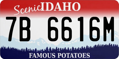 ID license plate 7B6616M