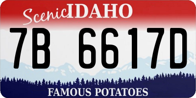 ID license plate 7B6617D