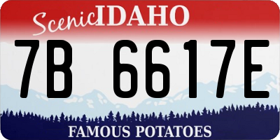 ID license plate 7B6617E