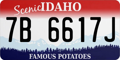 ID license plate 7B6617J