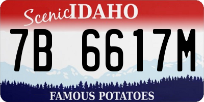 ID license plate 7B6617M