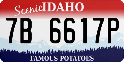 ID license plate 7B6617P