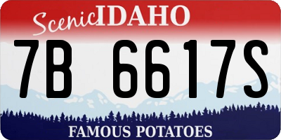 ID license plate 7B6617S