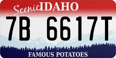ID license plate 7B6617T