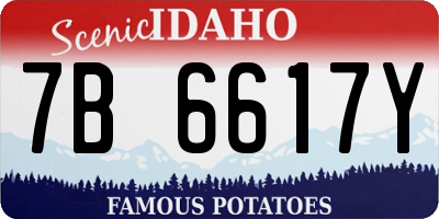 ID license plate 7B6617Y