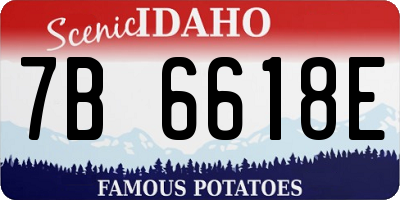 ID license plate 7B6618E