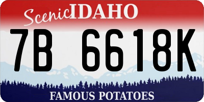 ID license plate 7B6618K