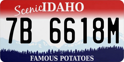 ID license plate 7B6618M