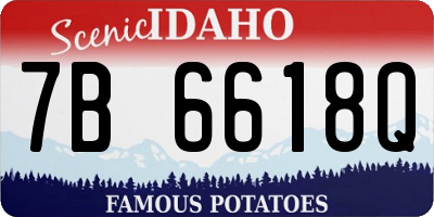 ID license plate 7B6618Q