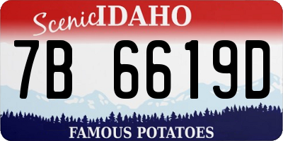ID license plate 7B6619D