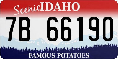 ID license plate 7B6619O