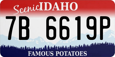 ID license plate 7B6619P