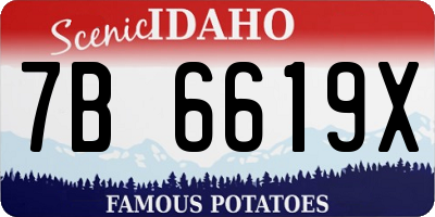 ID license plate 7B6619X