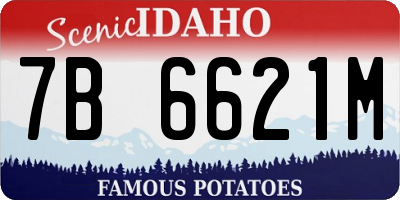 ID license plate 7B6621M