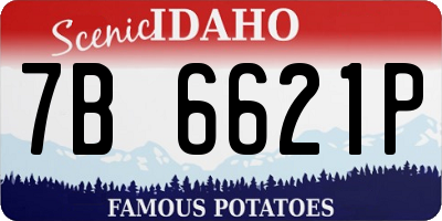 ID license plate 7B6621P