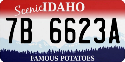 ID license plate 7B6623A