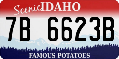 ID license plate 7B6623B