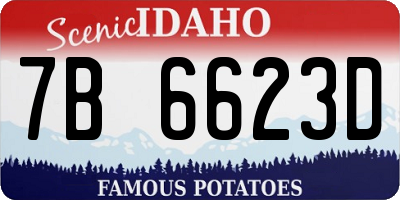 ID license plate 7B6623D