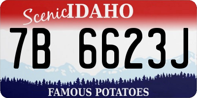 ID license plate 7B6623J