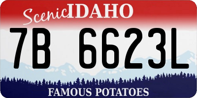 ID license plate 7B6623L