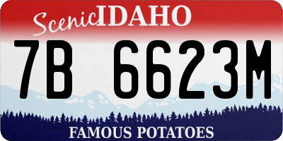 ID license plate 7B6623M