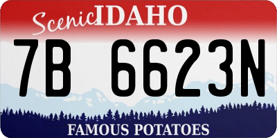 ID license plate 7B6623N