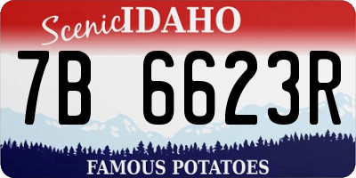 ID license plate 7B6623R