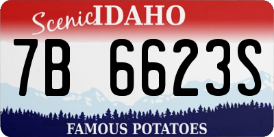 ID license plate 7B6623S