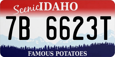 ID license plate 7B6623T