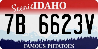 ID license plate 7B6623V