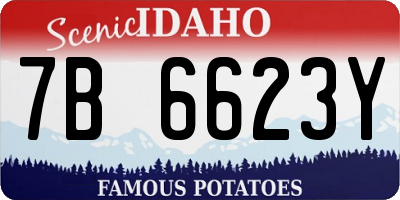 ID license plate 7B6623Y