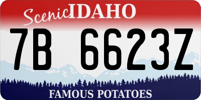 ID license plate 7B6623Z