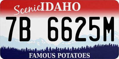 ID license plate 7B6625M